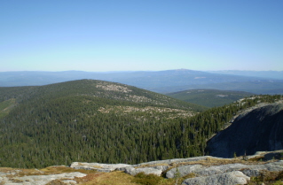 View to the east from Little White Mtn peak 2009-09.
